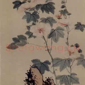 清代 罗聘《蜀葵图》国画花鸟作品图片鉴赏