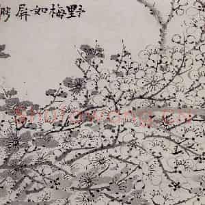 清代 罗聘《梅花册》国画花鸟作品图片鉴赏