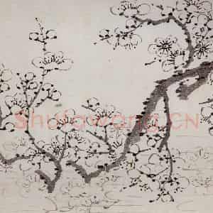 清代 罗聘《梅花册》国画花鸟作品图片鉴赏