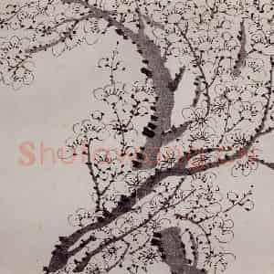 清代 罗聘《梅花册》国画花鸟作品图片鉴赏