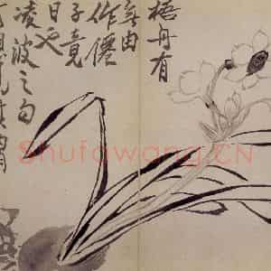 清代 罗聘《杂画册》国画花鸟作品图片鉴赏