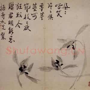 清代 罗聘《杂画册》国画花鸟作品图片鉴赏