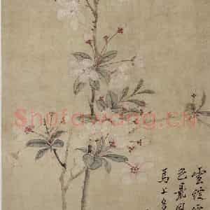 清代 罗聘《海棠》国画花鸟作品图片鉴赏