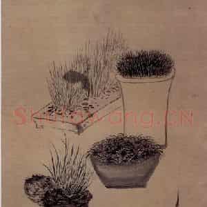 清代 罗聘《蒲草图》国画花鸟作品图片鉴赏