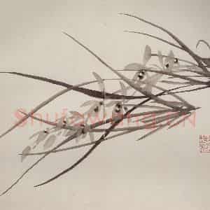 清代 罗聘《兰竹石图册》国画花鸟作品图片鉴赏