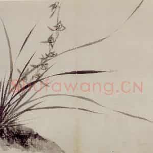 清代 罗聘《师弟合璧册》国画花鸟作品图片鉴赏