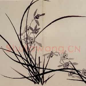 清代 罗聘《兰花册》国画花鸟作品图片鉴赏