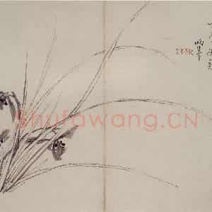 清代 罗聘《兰花册》国画花鸟作品图片鉴赏