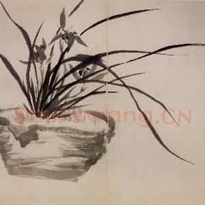清代 罗聘《兰竹图册》国画花鸟作品图片鉴赏