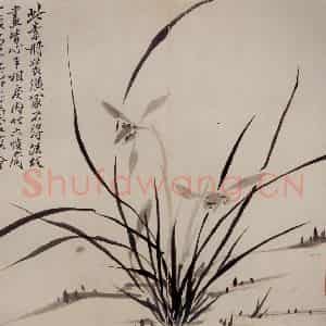 清代 罗聘《兰竹图册》国画花鸟作品图片鉴赏
