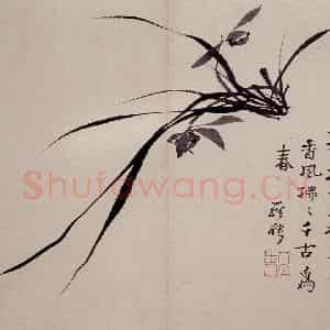 清代 罗聘《兰花册》国画花鸟作品图片鉴赏