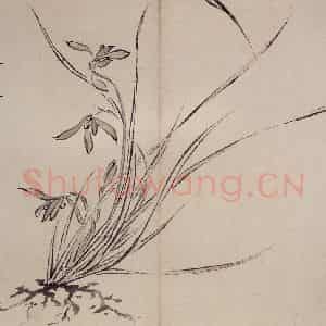 清代 罗聘《兰花册》国画花鸟作品图片鉴赏