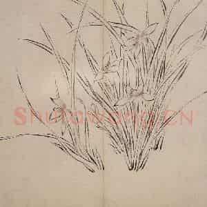 清代 罗聘《兰花册》国画花鸟作品图片鉴赏