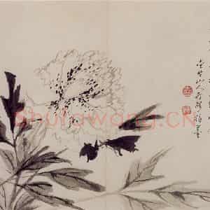 清代 罗聘《师弟合璧册》国画花鸟作品图片鉴赏
