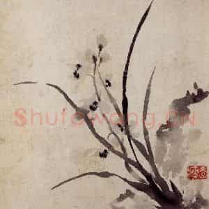 清代 罗聘《花卉册》国画花鸟作品图片鉴赏