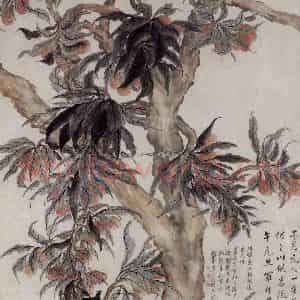 清代 罗聘《荔枝图》国画花鸟作品图片鉴赏