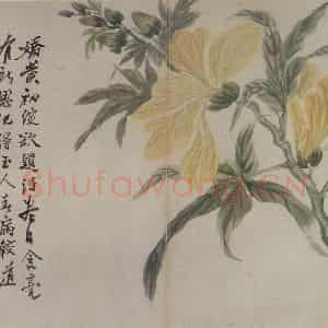 清代 罗聘《花卉册十二开》国画花鸟作品图片鉴赏