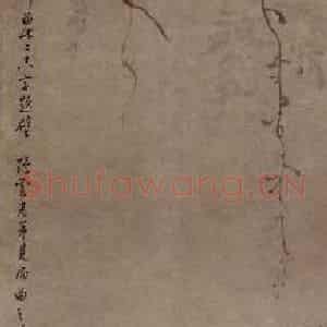 清代 罗聘《紫藤图》国画花鸟作品图片鉴赏