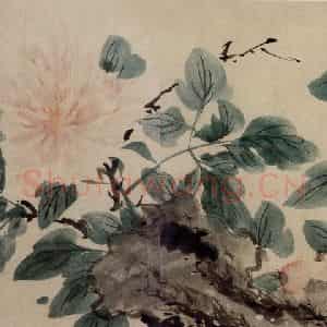 明代 陈淳《洛阳春色书画卷》国画花鸟作品图片鉴赏