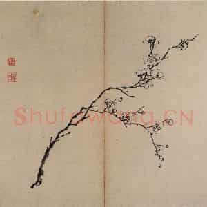 明代 陈淳《书画册》国画花鸟作品图片鉴赏