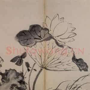 明代 陈淳《书画册》国画花鸟作品图片鉴赏