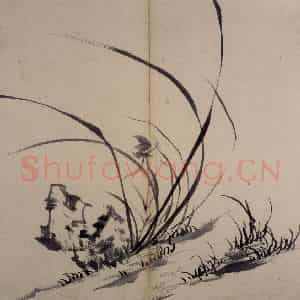 明代 陈淳《书画册》国画花鸟作品图片鉴赏