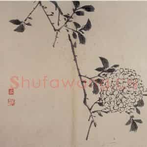 明代 陈淳《书画册》国画花鸟作品图片鉴赏