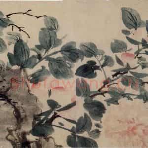 明代 陈淳《洛阳春色书画卷》国画花鸟作品图片鉴赏