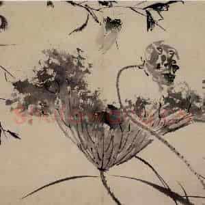 明代 陈淳《花卉图》国画花鸟作品图片鉴赏
