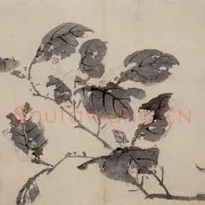 明代 陈淳《花卉图》国画花鸟作品图片鉴赏