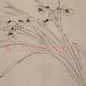 明代 陈淳《花卉图》国画花鸟作品图片鉴赏