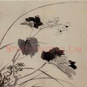 明代 陈淳《花卉图》国画花鸟作品图片鉴赏