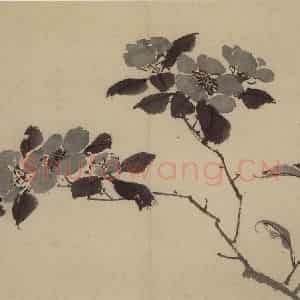 明代 陈淳《花卉图》国画花鸟作品图片鉴赏