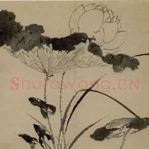明代 陈淳《花卉图》国画花鸟作品图片鉴赏