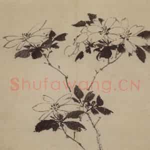明代 陈淳《花卉图》国画花鸟作品图片鉴赏
