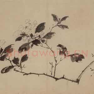 明代 陈淳《花卉图》国画花鸟作品图片鉴赏