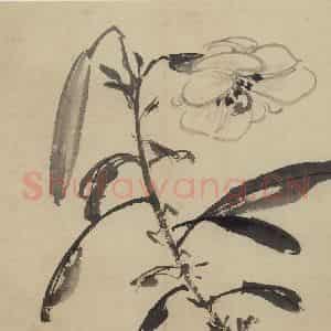 明代 陈淳《花卉图》国画花鸟作品图片鉴赏