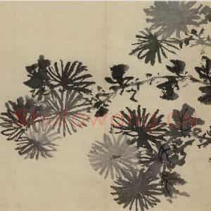 明代 陈淳《花卉图》国画花鸟作品图片鉴赏
