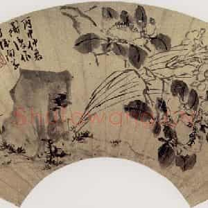明代 陈淳《水仙山茶图》国画花鸟作品图片鉴赏