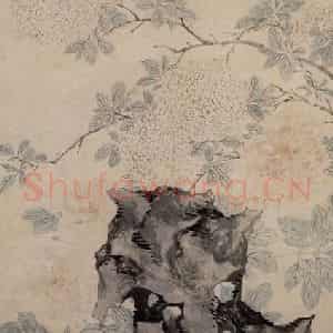 明代 陈淳《湖石牡丹图》国画花鸟作品图片鉴赏