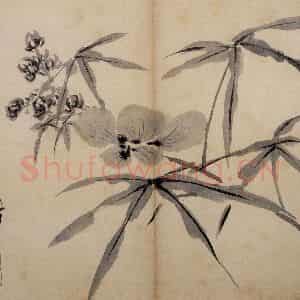 明代 陈淳《花卉册》国画花鸟作品图片鉴赏