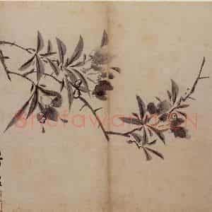 明代 陈淳《花卉册》国画花鸟作品图片鉴赏