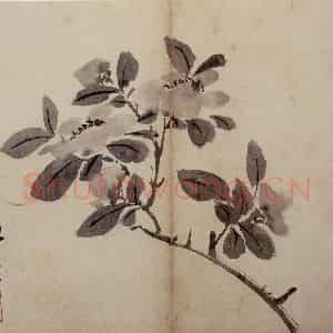 明代 陈淳《花卉册》国画花鸟作品图片鉴赏