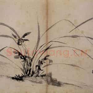 明代 陈淳《花卉册》国画花鸟作品图片鉴赏