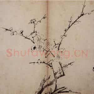 明代 陈淳《花卉册》国画花鸟作品图片鉴赏