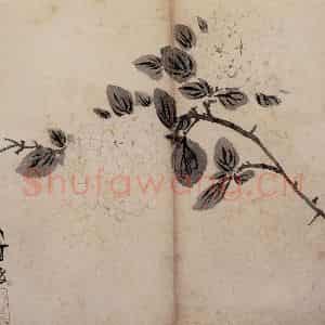 明代 陈淳《花卉册》国画花鸟作品图片鉴赏
