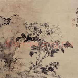 明代 陈淳《牡丹图》国画花鸟作品图片鉴赏