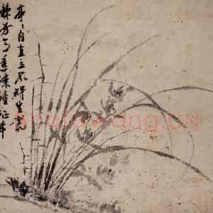 明代 陈淳《兰花图》国画花鸟作品图片鉴赏