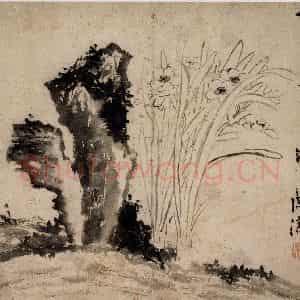 明代 陈淳《水仙湖石图》国画花鸟作品图片鉴赏