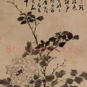 明代 陈淳《花觚牡丹图》国画花鸟作品图片鉴赏